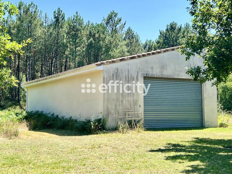 Maison - 240 m² - 9 pièces