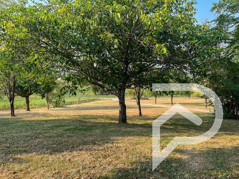 Maison - 228 m² - 7 pièces