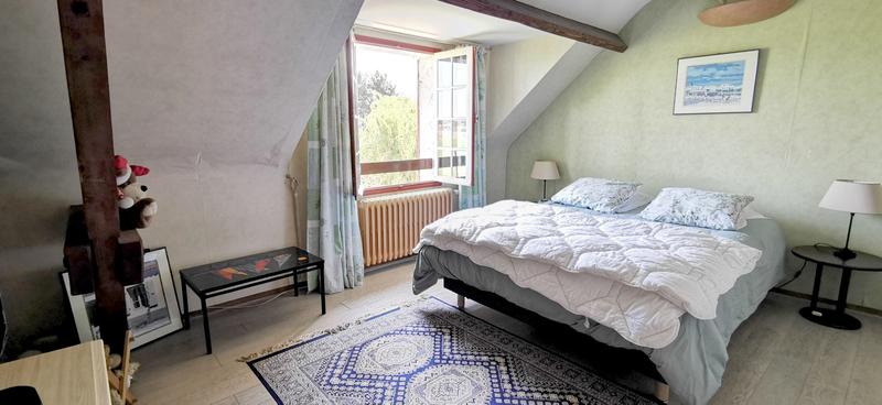 Viager - Maison ancienne - 224 m² - 7 pièces