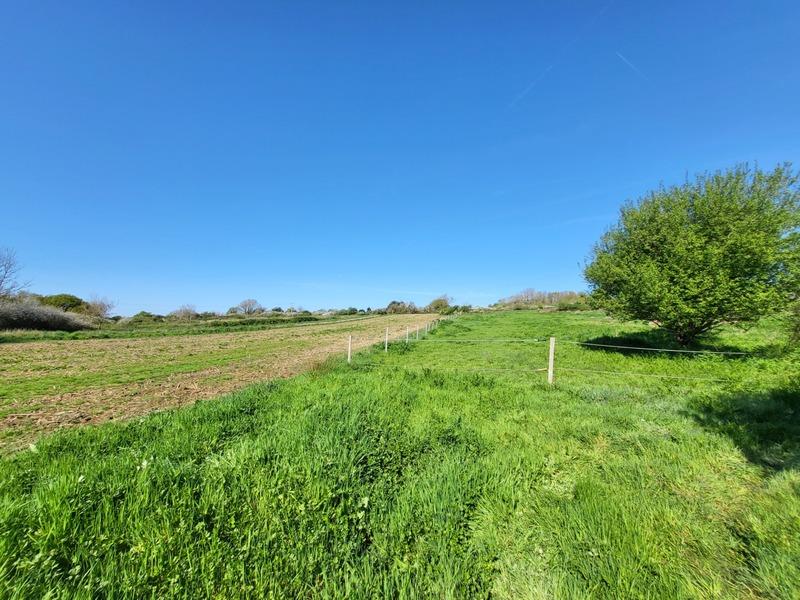 Hangar - 520 m² - 1 pièce