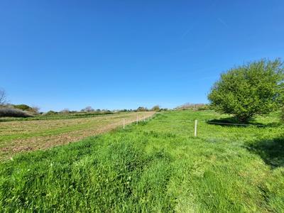 Hangar - 520 m² - 1 pièce