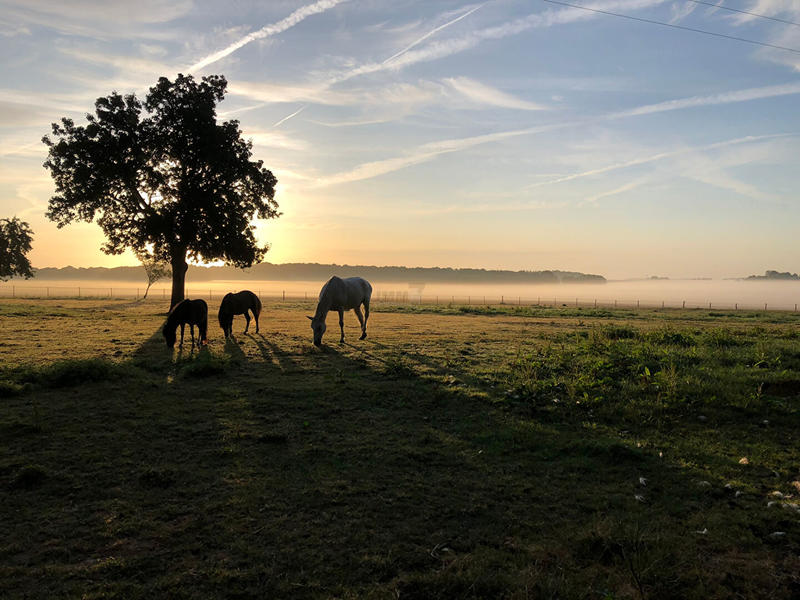 Maison - 542 m² - 20 pièces