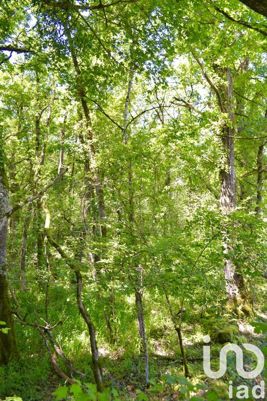 Maison de village - 74 m² - 3 pièces