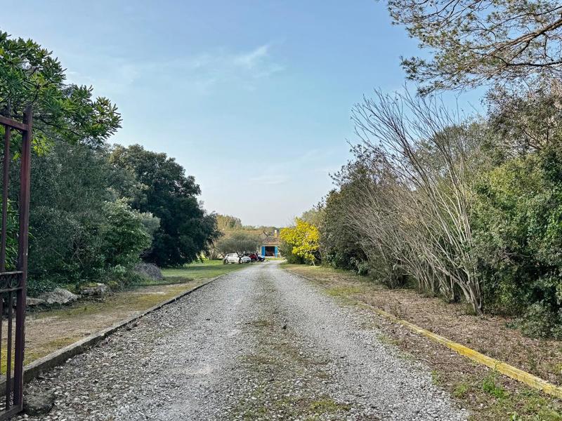 Maison - 175 m² - 6 pièces