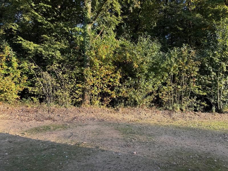 Maison - 87 m² - 5 pièces