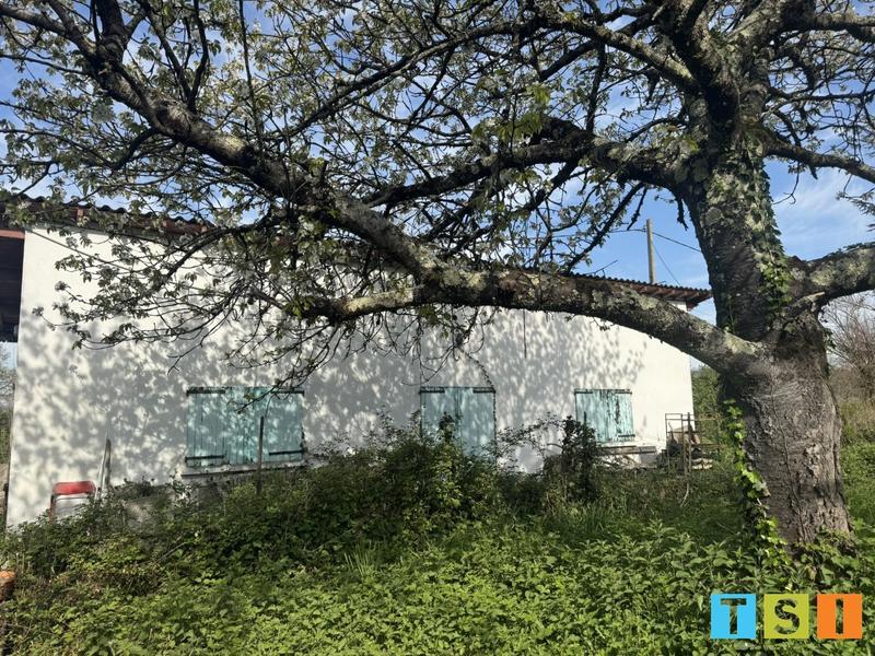 Maison - 50 m² - 3 pièces