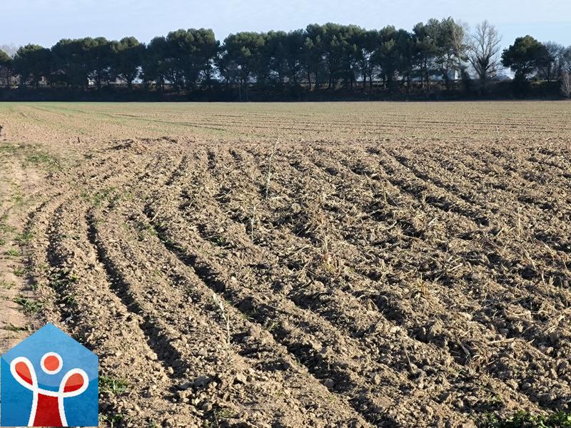 Terrain de loisirs - 909 m²