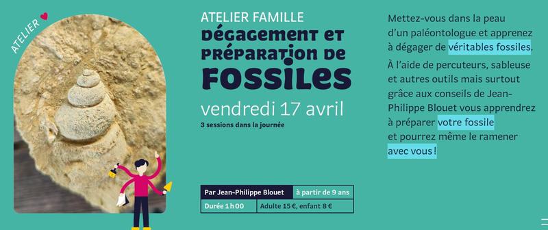 Atelier famille : Dégagement et préparation de fossiles