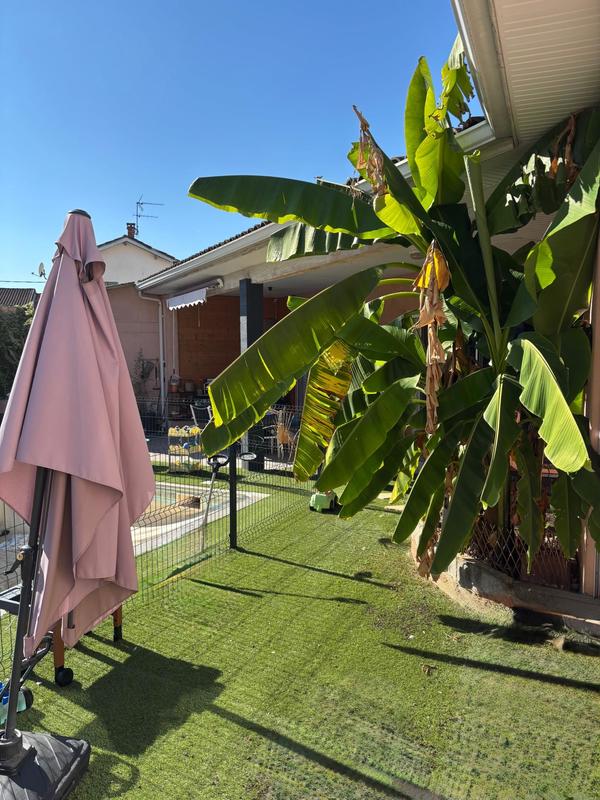 Maison - 170 m² - 5 pièces