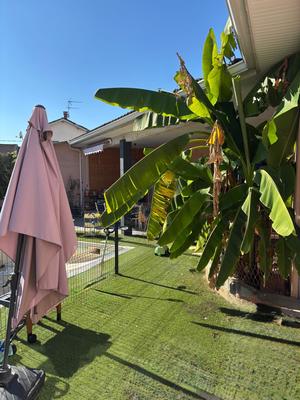 Maison - 170 m² - 5 pièces