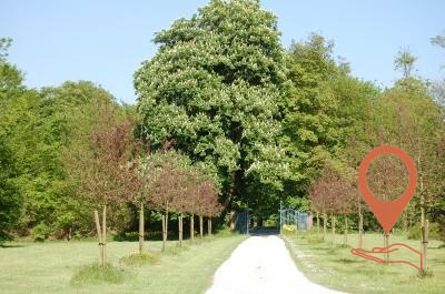 Viager - Manoir - 320 m² - 10 pièces