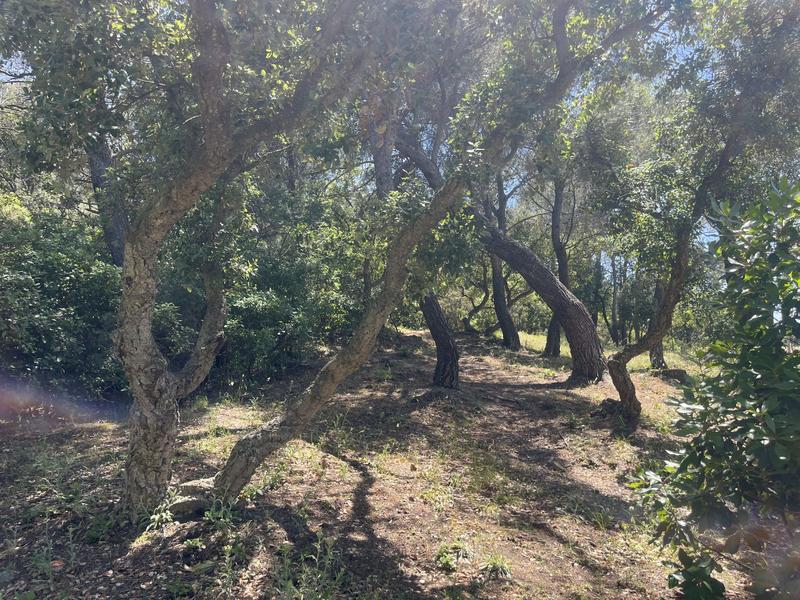 Terrain de loisirs - 8 590 m²