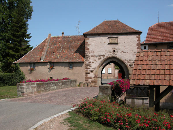 Balade ludique à Molsheim, Mutzig et Dachstein