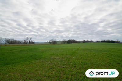 Terrain agricole - 6 000 m²