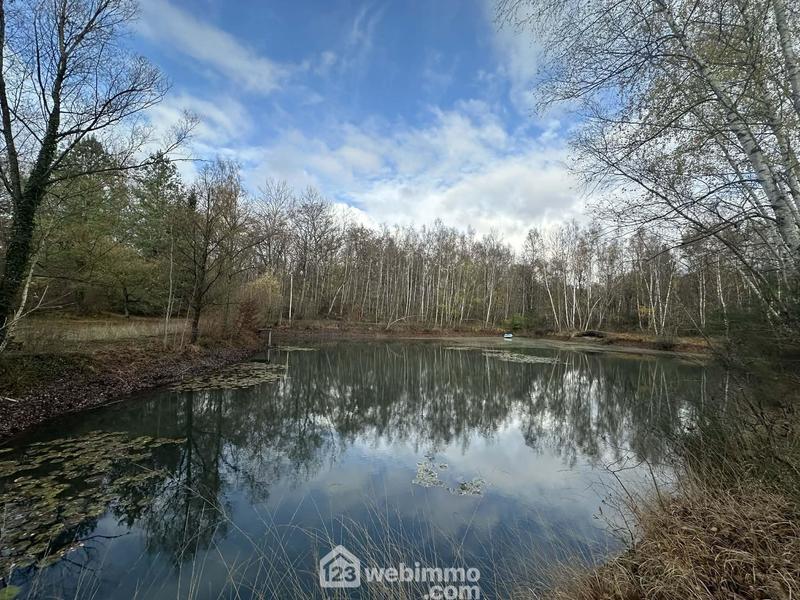 Terrain - 10 450 m²