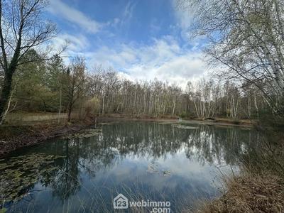 Terrain - 10 450 m²