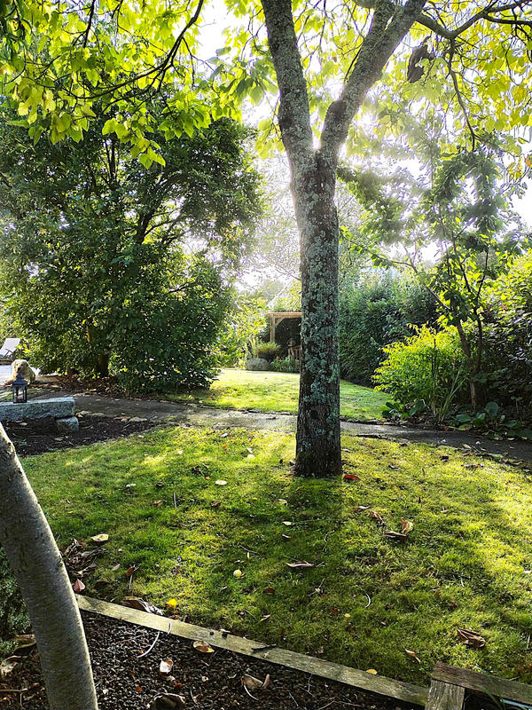 Maison - 121 m² - 6 pièces