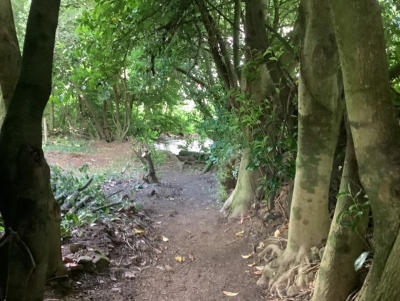 Maison - 185 m² - 7 pièces