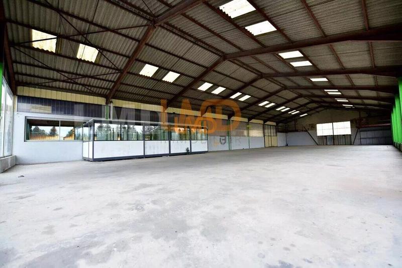 Bureau - 1 185 m² - 5 pièces