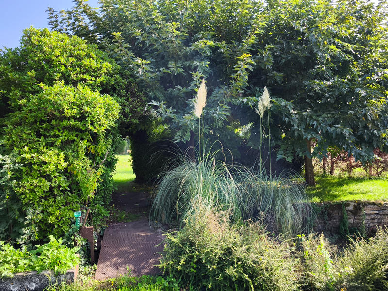 Maison - 200 m² - 7 pièces