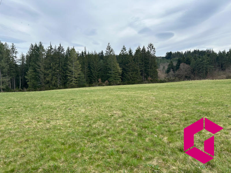 Terrain - 12 256 m²