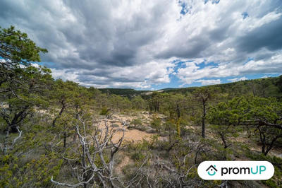 Terrain de loisirs - 92 370 m²