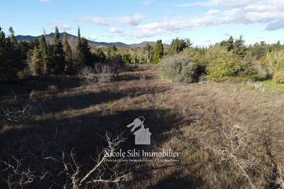 Terrain agricole - 3 300 m²