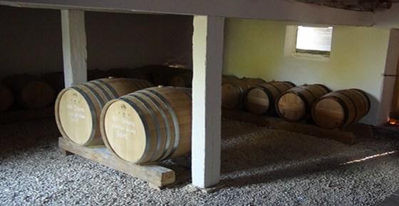 Vignoble calassou duravel 46