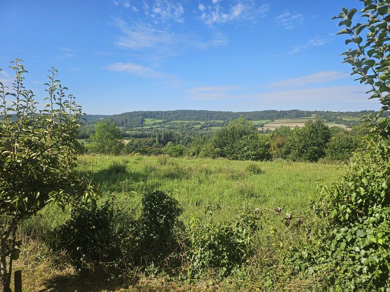 Terrain agricole - 3 547 m²