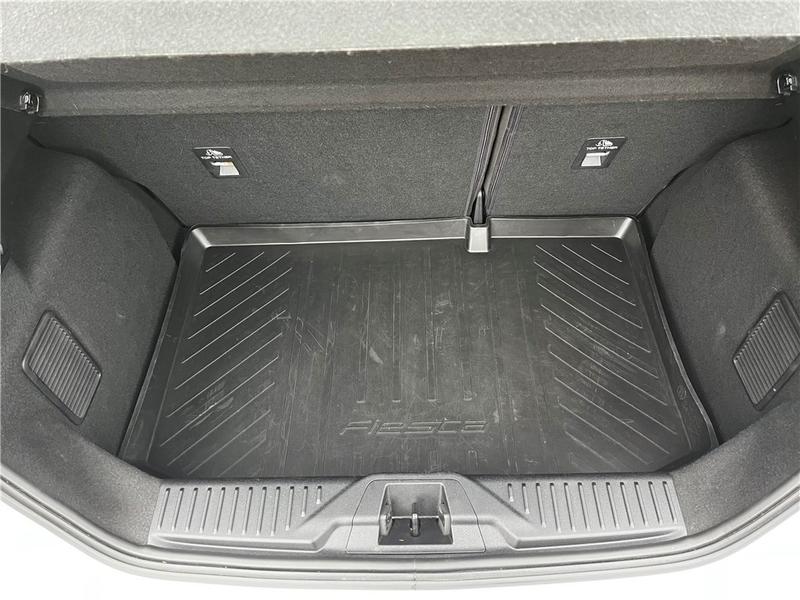 Ford Fiesta VII 1.0 Flexifuel 95 Ch s&amp;S Bvm6 Titanium Business