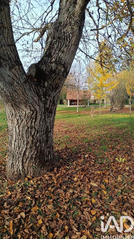 Maison - 65 m² - 3 pièces