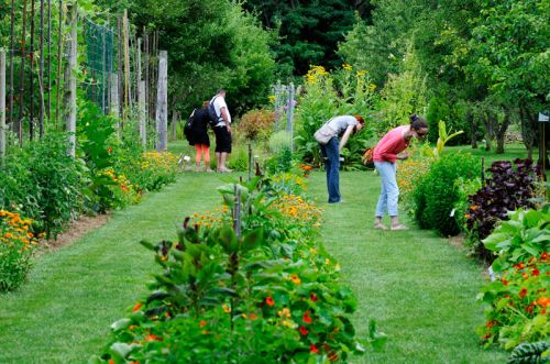 Jardin aux Plantes Parfumées