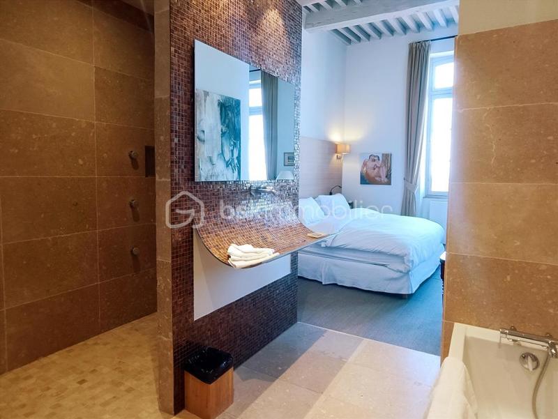 Hôtel particulier - 650 m² - 17 pièces