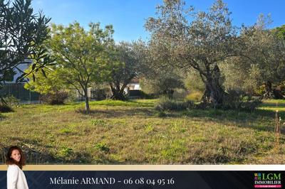 Terrain - 530 m²