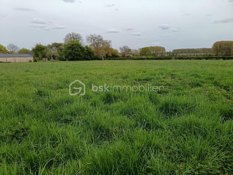 Terrain constructible - 804 m²