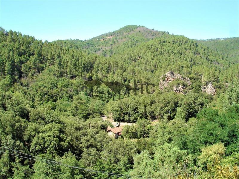 Maison de village - 85 m² - 5 pièces