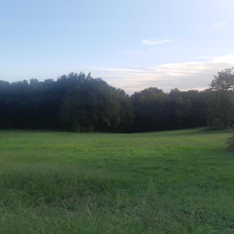 Terrain constructible - 2 120 m²