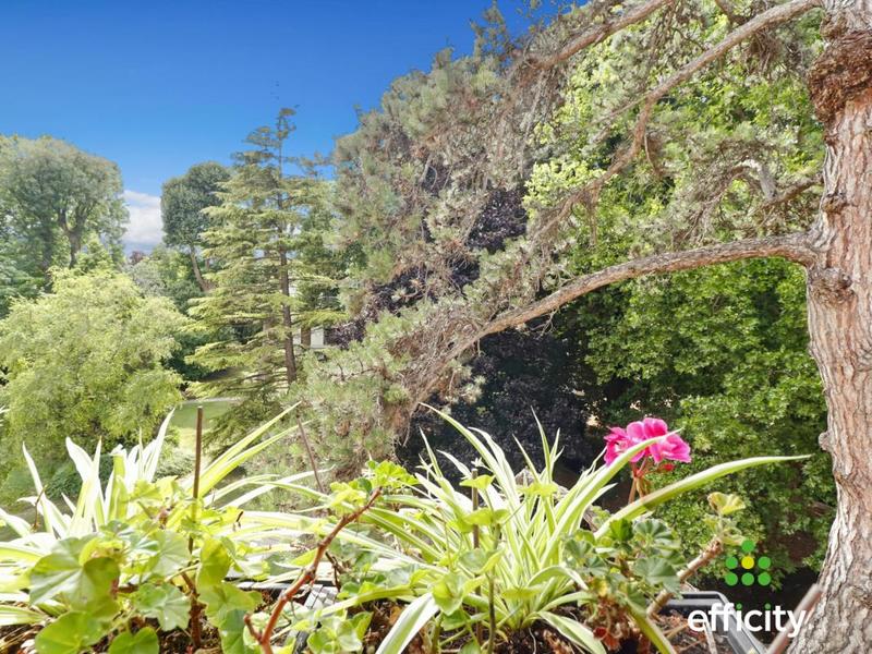 Appartement - 77 m² - 4 pièces