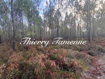 Terrain - 40 400 m²