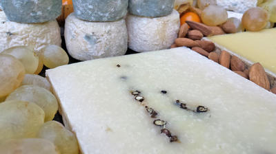 Crèmerie-Fromagerie Mercy