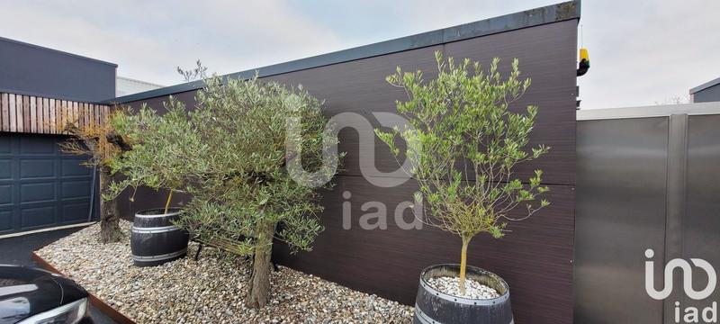 Local commercial - 565 m²