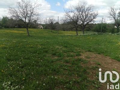 Maison de campagne - 220 m² - 7 pièces