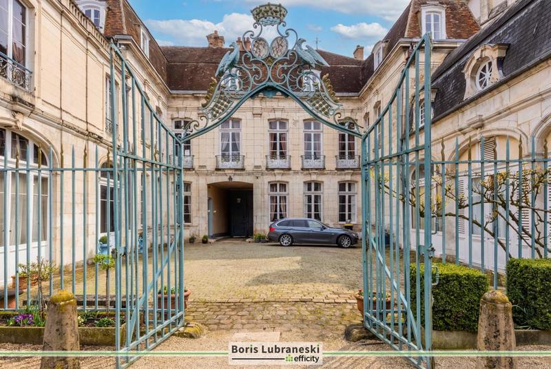 Hôtel particulier - 1 200 m² - 20 pièces