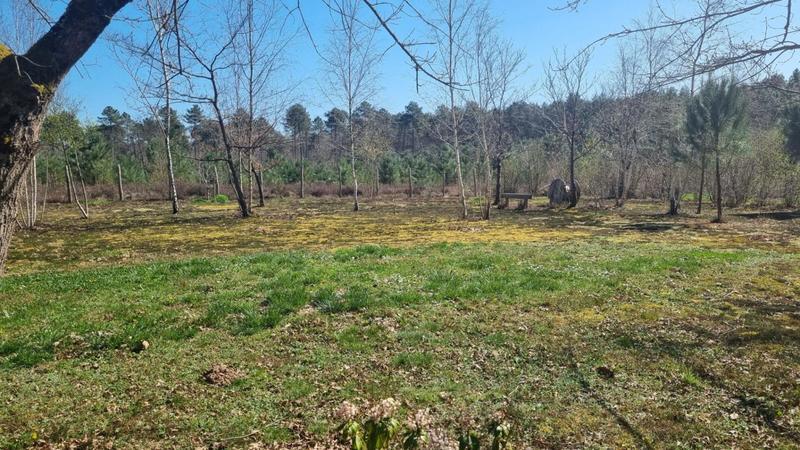 Maison - 152 m² - 6 pièces