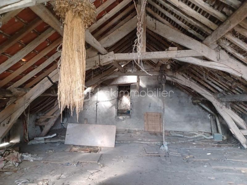 Moulin - 216 m² - 8 pièces