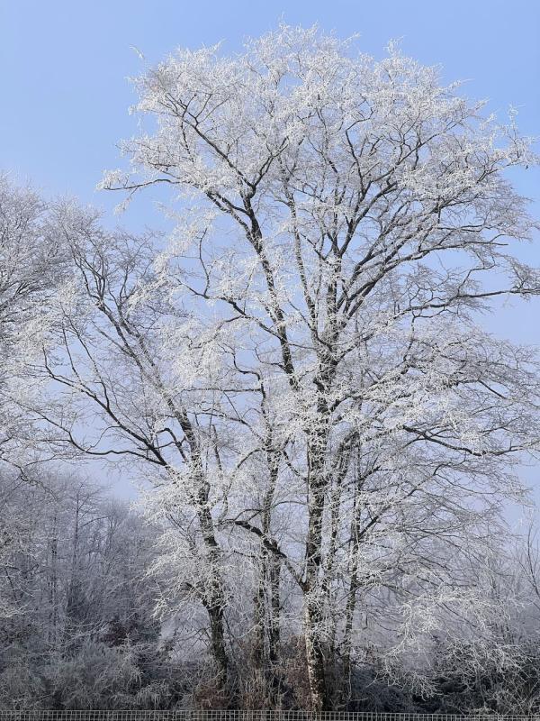 Maison - 231 m² - 7 pièces