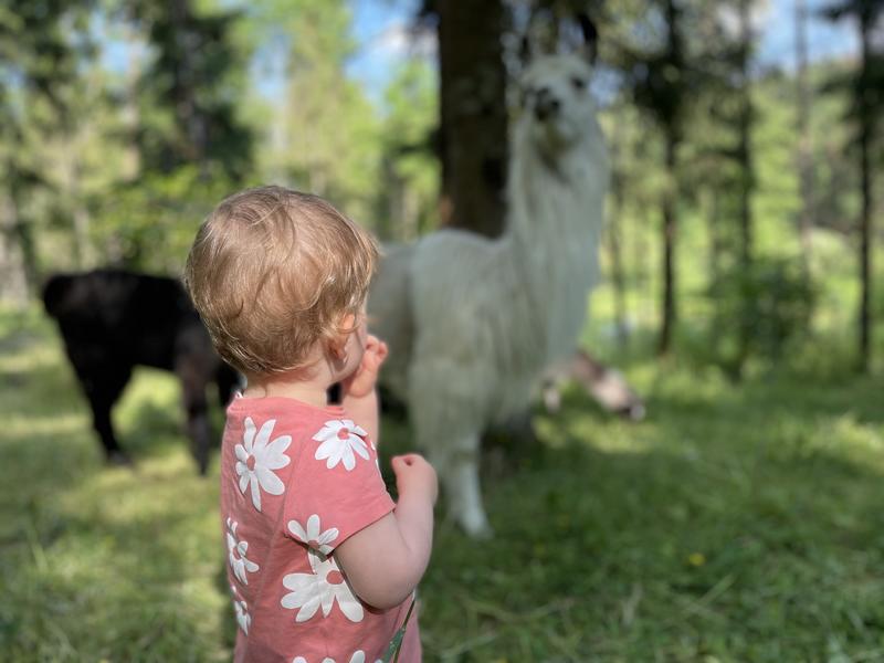 Vacances d'été à Lama Loisirs