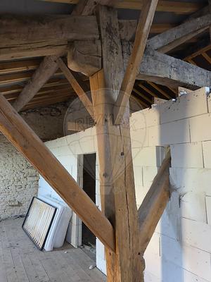 Cave / Box - 309 m²