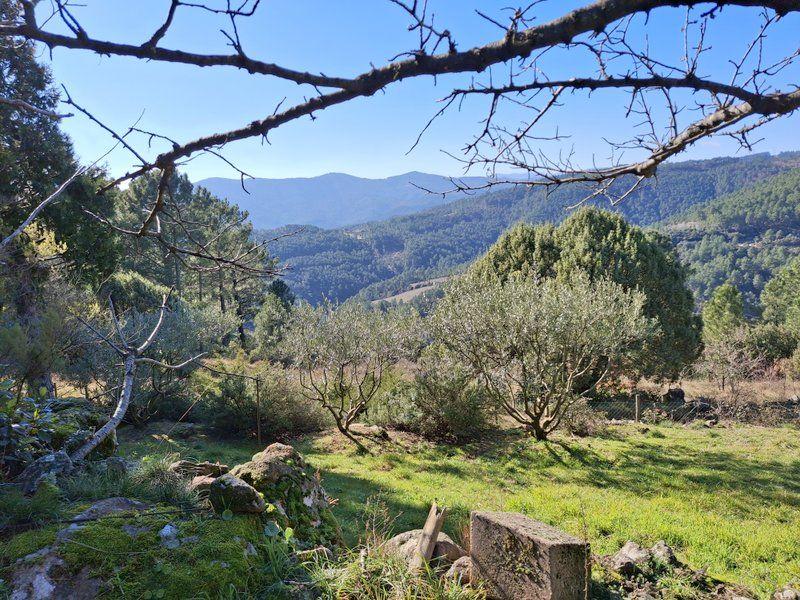 Maison - 230 m² - 7 pièces