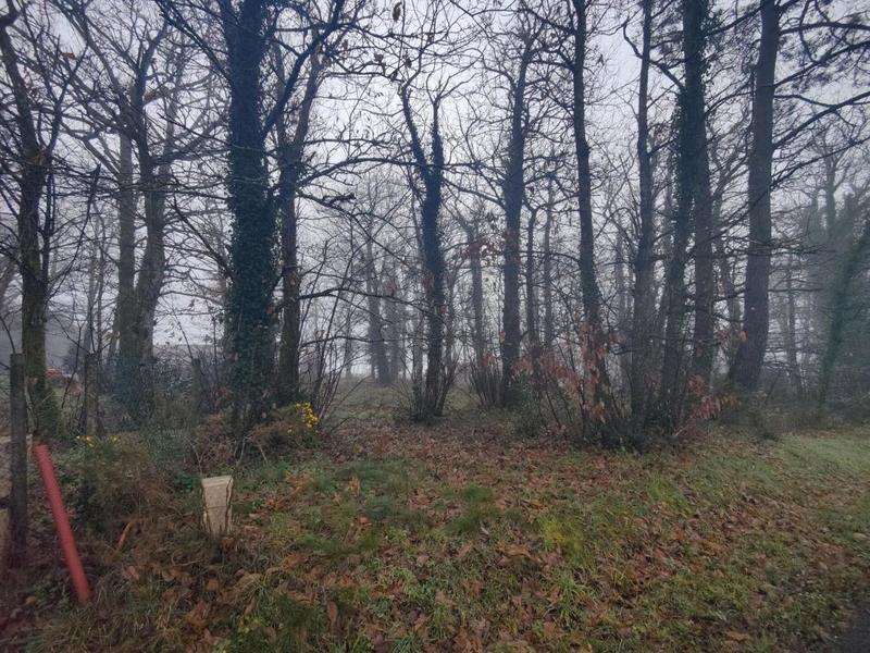 Terrain constructible - 2 100 m²